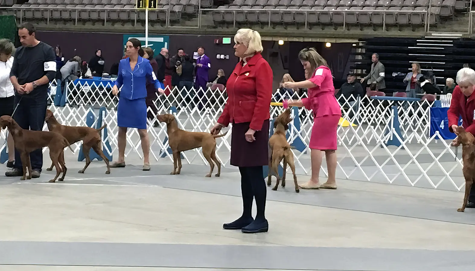2018 Annual Show