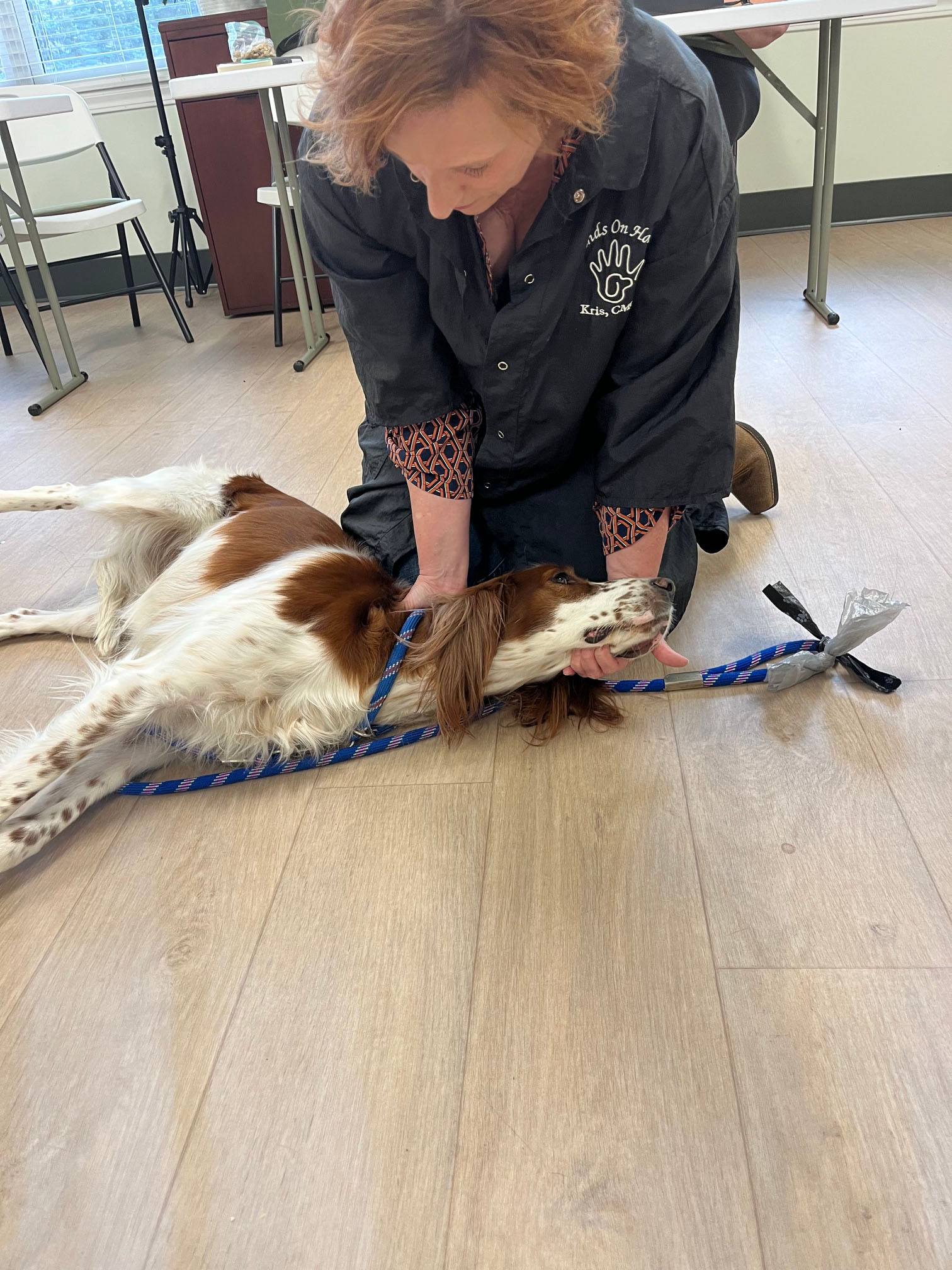 2026 Meeting Program Stretching the Canine Athlete