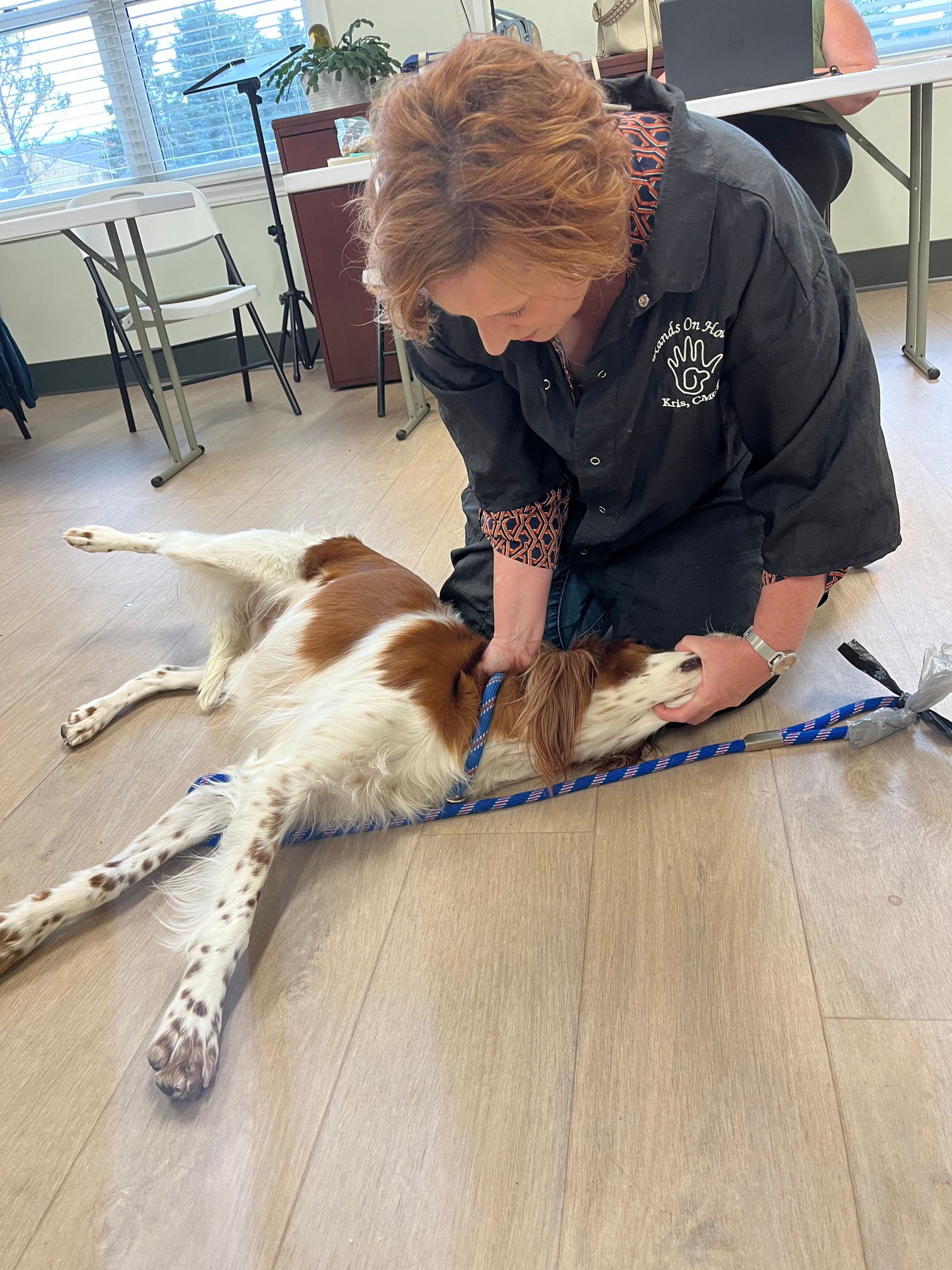 2026 Meeting Program Stretching the Canine Athlete