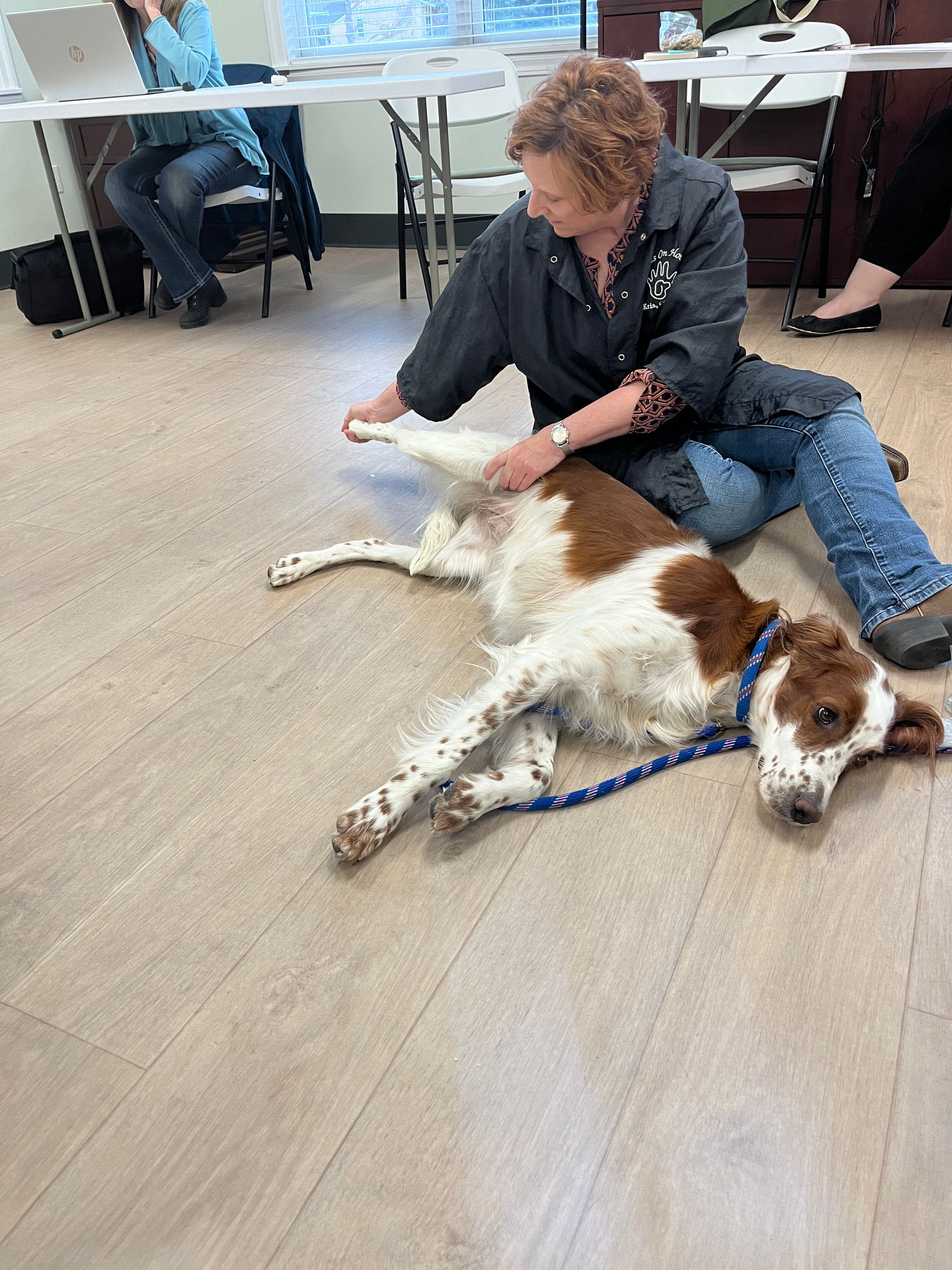 2026 Meeting Program Stretching the Canine Athlete