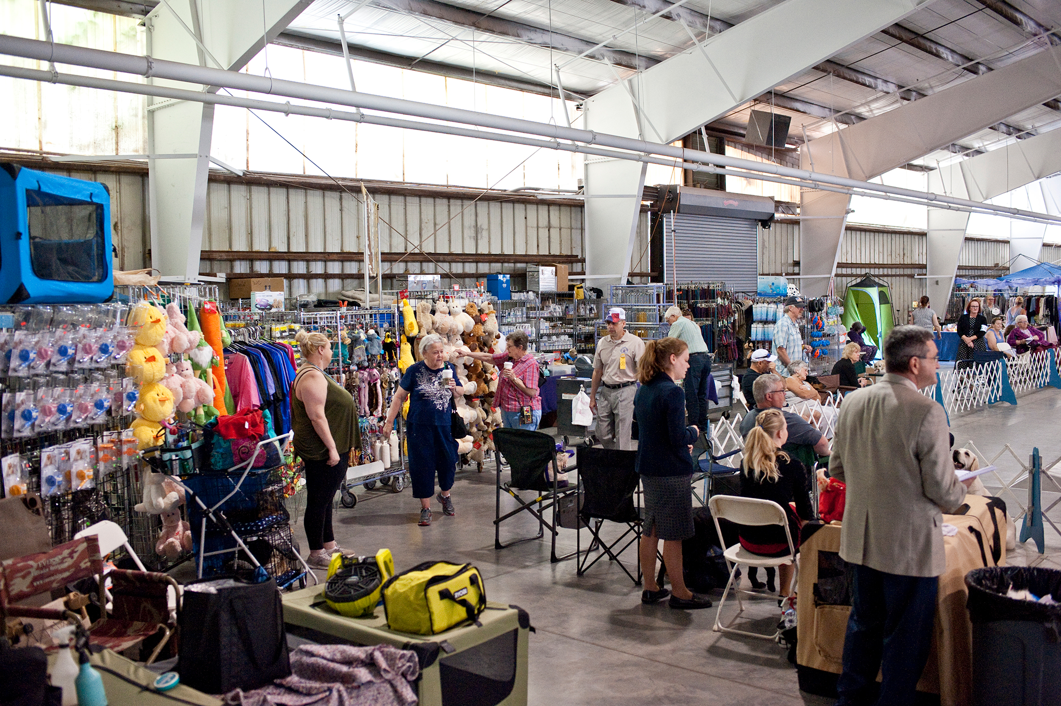 2019 Annual Show