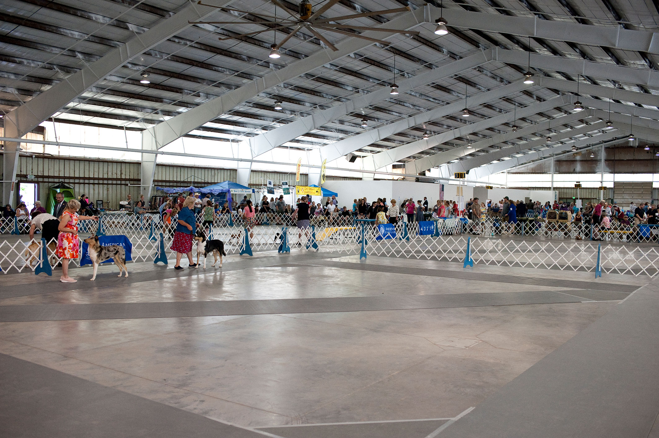 2019 Annual Show