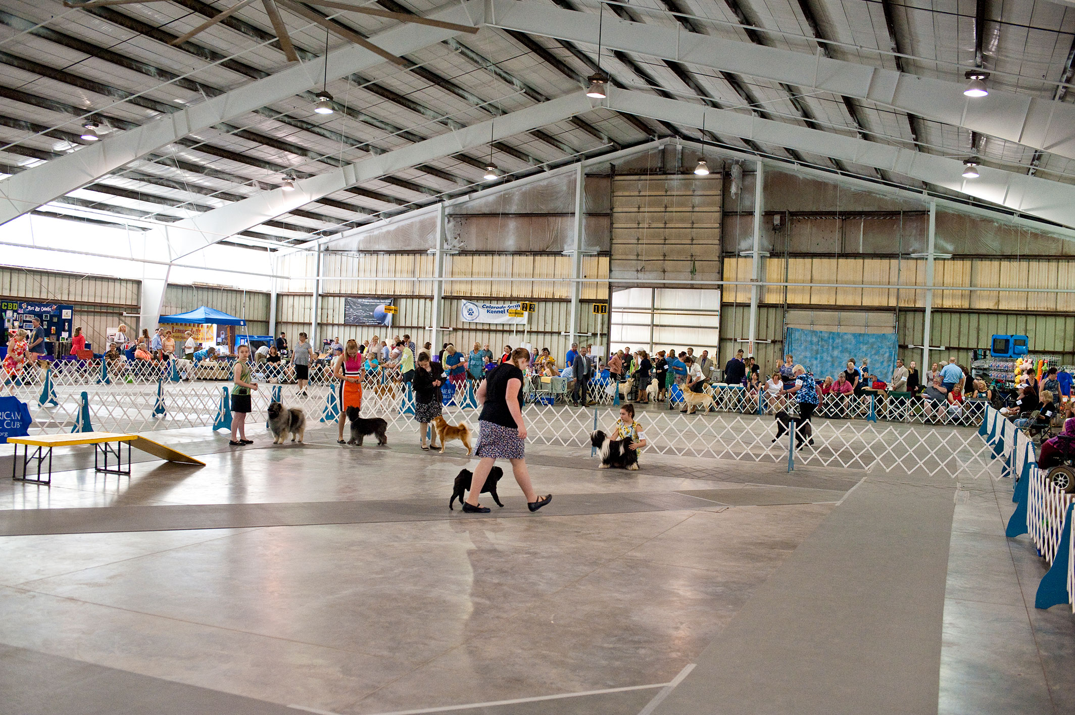 2019 Annual Show