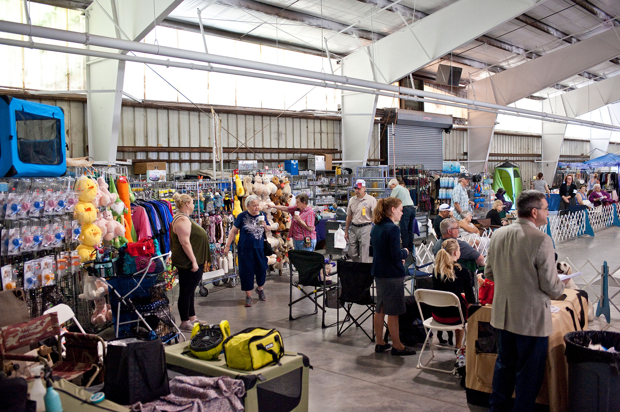 2019 Annual Show