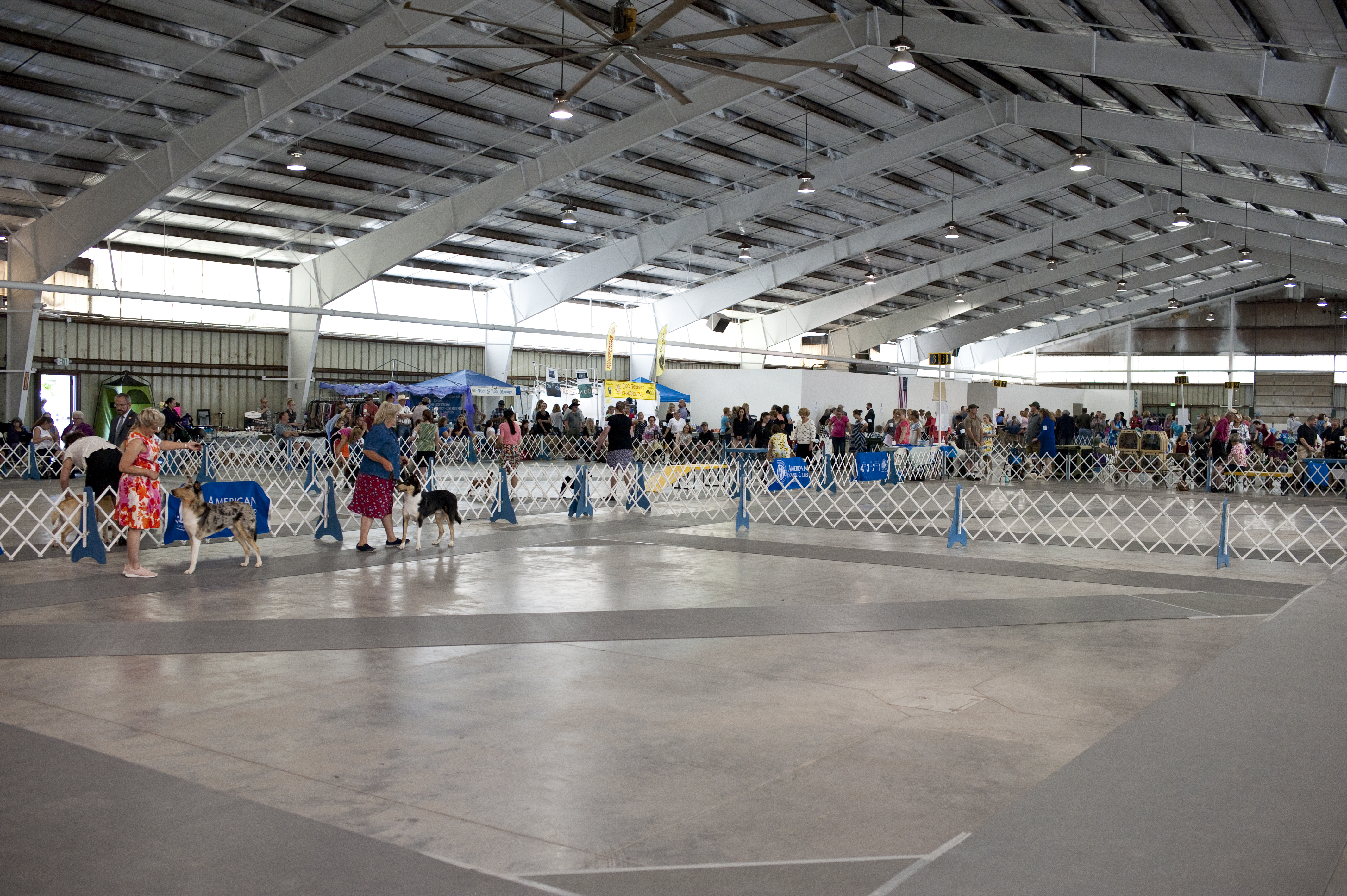 2019 Annual Show