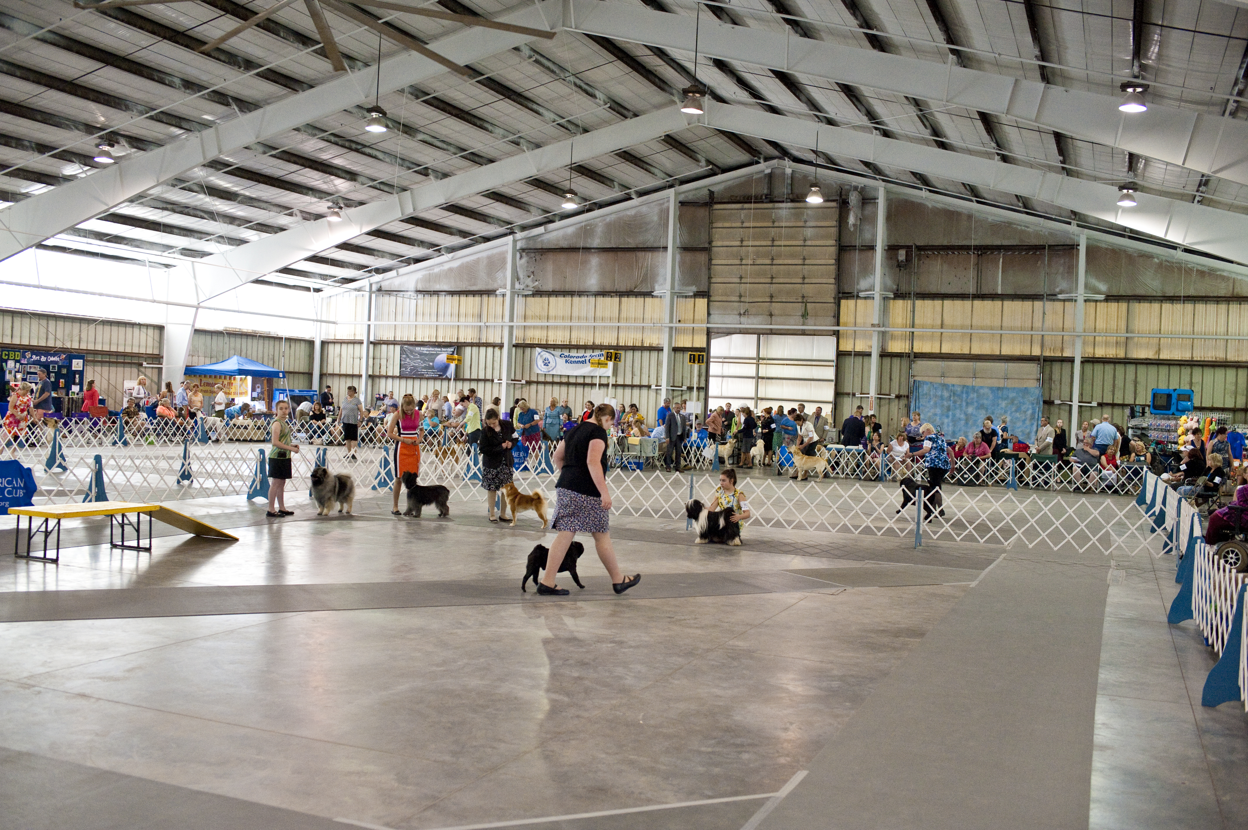 2019 Annual Show