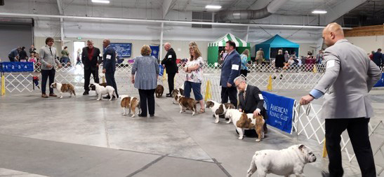 2022 Annual Show