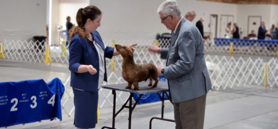 2022 Annual Show