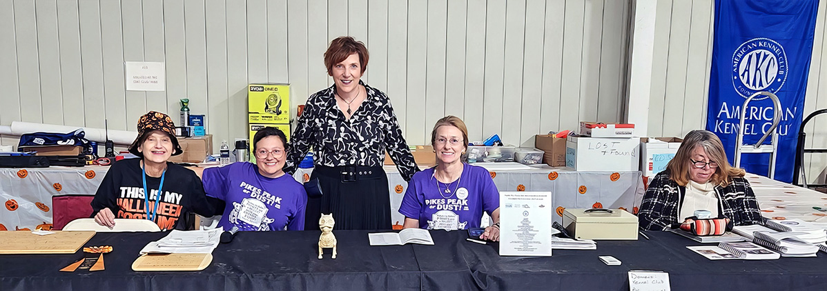 Dog agility competition